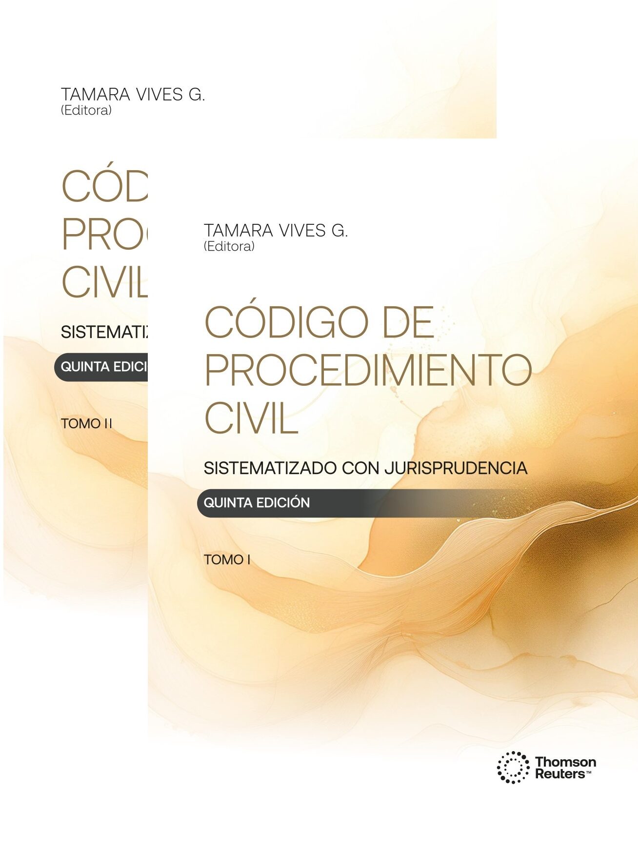 codigo-de-procedimiento-civil-sistematizado-con-jurisprudencia